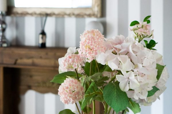 Gite 4 personnes Tours 37 campagne - Le turbais 5